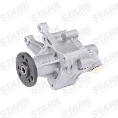 Hydraulic Pump, Steering System Stark SKHP-0540121 SKHP-0540121 - photo 3
