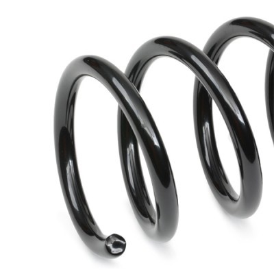 Suspension Spring RIDEX 188C0562 188C0562 - photo 4