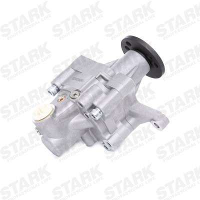 Hydraulic Pump, Steering System Stark SKHP-0540121 SKHP-0540121 - photo 4