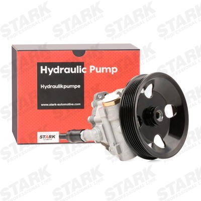 Hydraulic Pump, Steering System Stark SKHP-0540198 SKHP-0540198 - photo 2