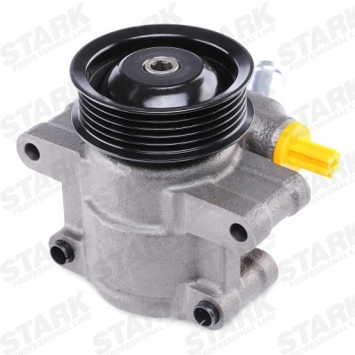 Hydraulic Pump, Steering System Stark SKHP-0540170 SKHP-0540170 - photo 4