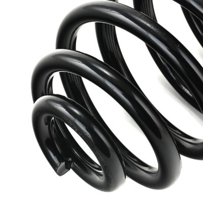 Suspension Spring RIDEX 188C0141 188C0141 - photo 4