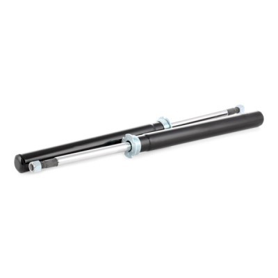 Shock Absorber RIDEX 854S1665 854S1665 - photo 5