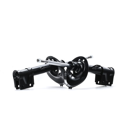 Shock Absorber RIDEX 854S2207 854S2207 - photo 1