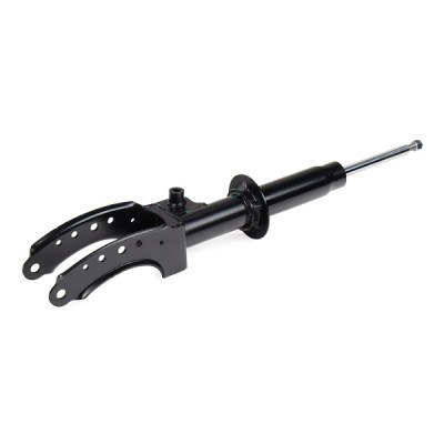 Shock Absorber RIDEX 854S1879 854S1879 - photo 5