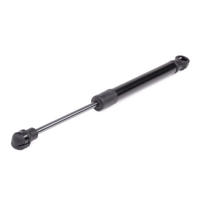 Bonnet Gas RIDEX 219G0354 219G0354 - photo 6