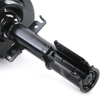 Shock Absorber RIDEX 854S0984 854S0984 - photo 5