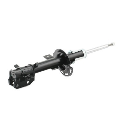 Shock Absorber RIDEX 854S1893 854S1893 - photo 5