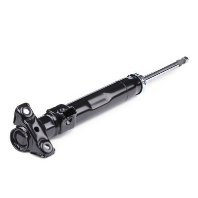 Shock Absorber RIDEX 854S0032 854S0032 - photo 4