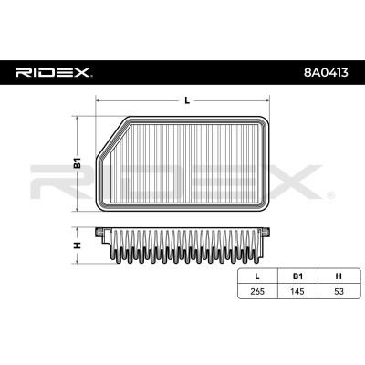 Air Filter RIDEX 8A0413 8A0413 - photo 4