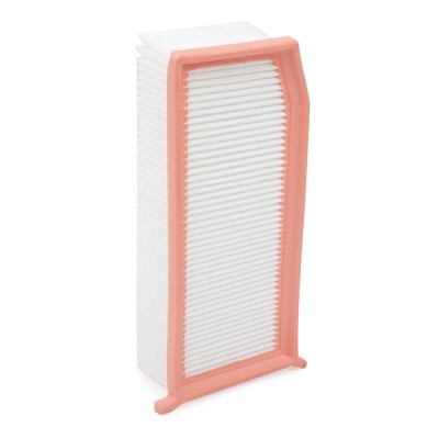 Air Filter RIDEX 8A0258 8A0258 - photo 6