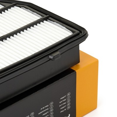 Air Filter RIDEX 8A0660 8A0660 - photo 4