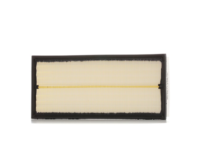 Air Filter RIDEX 8A0696 8A0696 - photo 1
