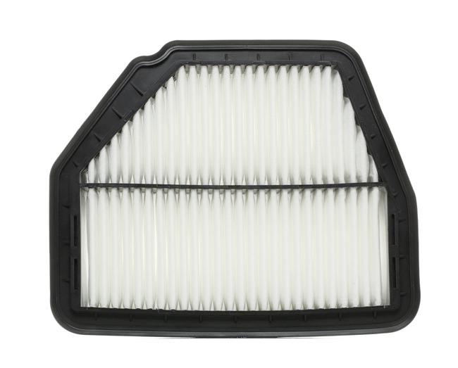 Air Filter RIDEX 8A0185 8A0185 - photo 1