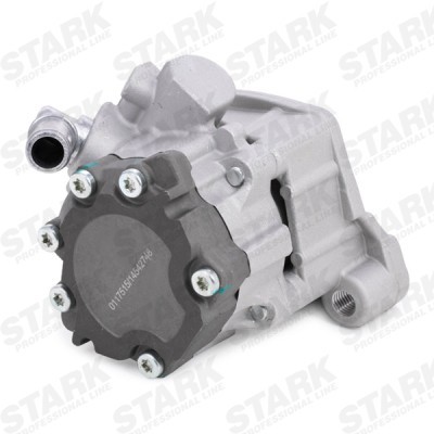 Hydraulic Pump, Steering System Stark SKHP-0540151 SKHP-0540151 - photo 4