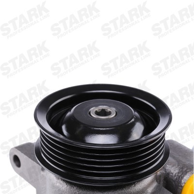 Hydraulic Pump, Steering System Stark SKHP-0540170 SKHP-0540170 - photo 5