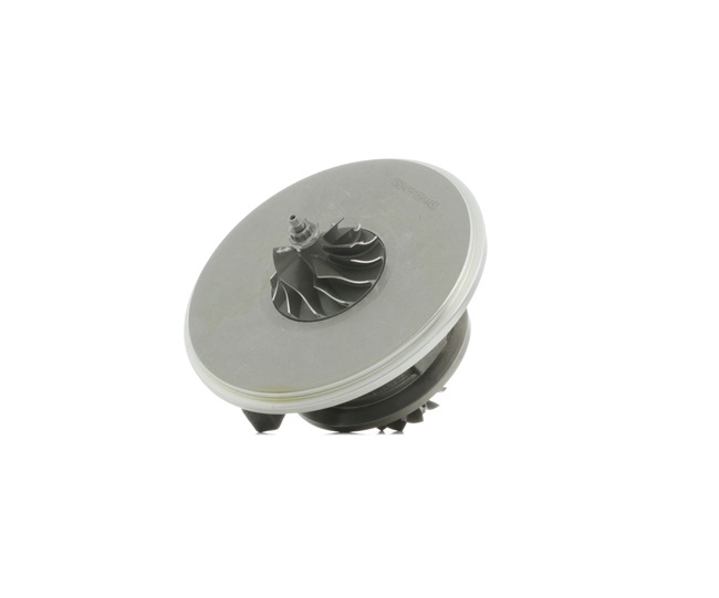 Turbo cartridge (core) RIDEX 4973C0149 4973C0149 - photo 1