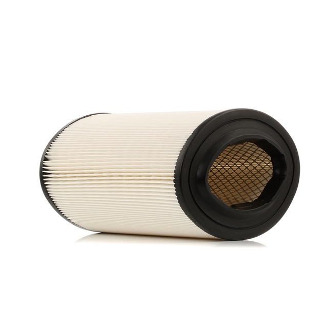 Air Filter RIDEX 8A0253 8A0253 - photo 1