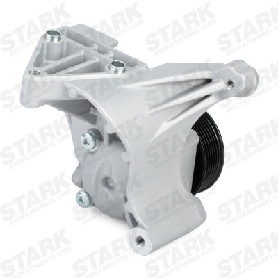 Hydraulic Pump, Steering System Stark SKHP-0540160 SKHP-0540160 - photo 4