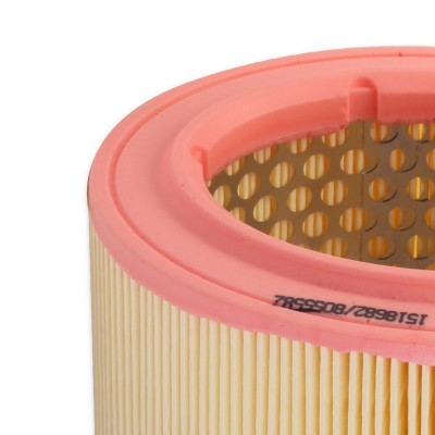 Air Filter RIDEX 8A0225 8A0225 - photo 6