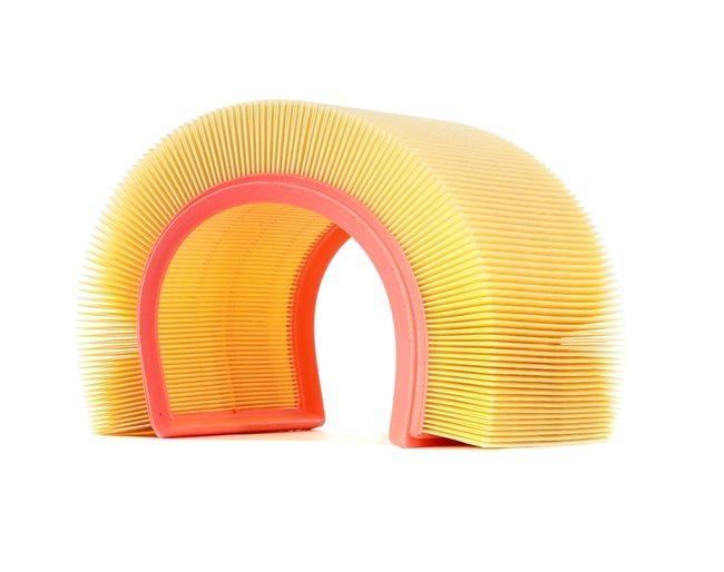 Air Filter RIDEX 8A0072 8A0072 - photo 1
