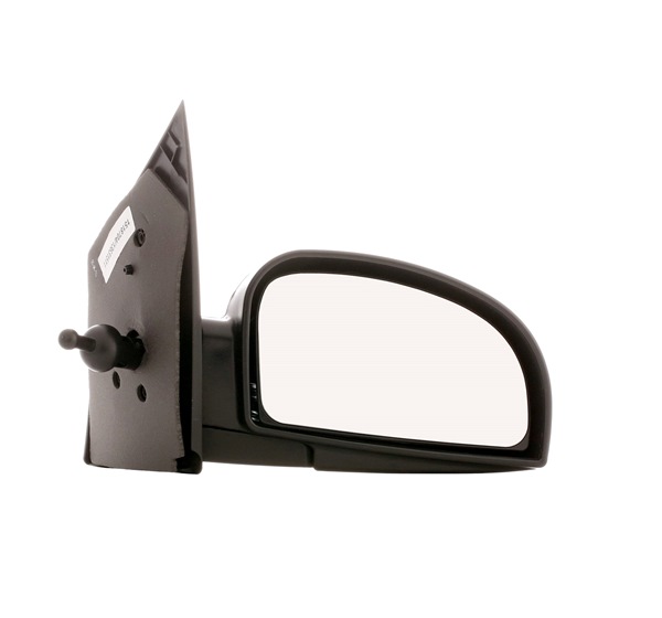 Wing Mirror RIDEX 50O0331 50O0331 - photo 1