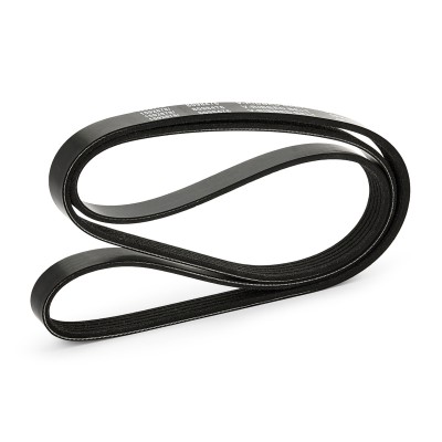 V-Ribbed Belt RIDEX 305P0042 305P0042 - photo 4