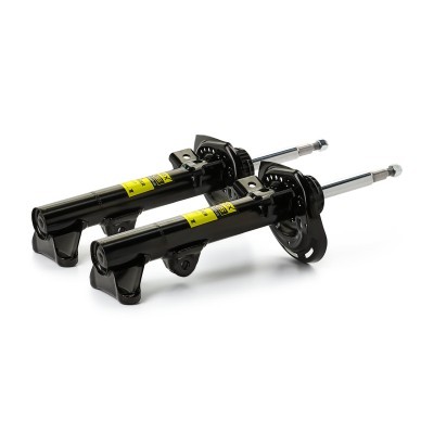 Shock Absorber RIDEX 854S1602P 854S1602P - photo 4