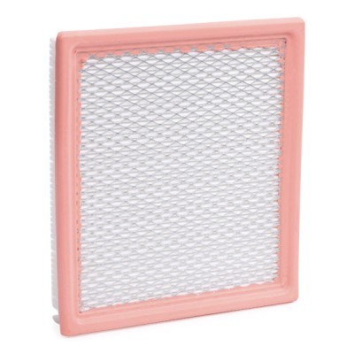 Air Filter RIDEX 8A0301 8A0301 - photo 2