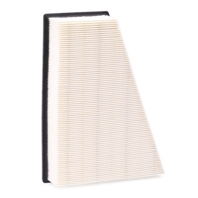 Air Filter RIDEX 8A0377 8A0377 - photo 5