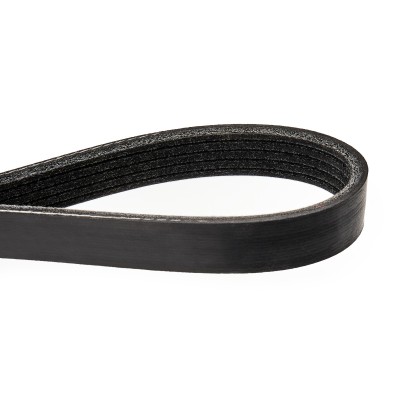 V-Ribbed Belt RIDEX 305P0176 305P0176 - photo 5