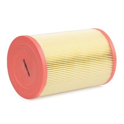 Air Filter RIDEX 8A0391 8A0391 - photo 5