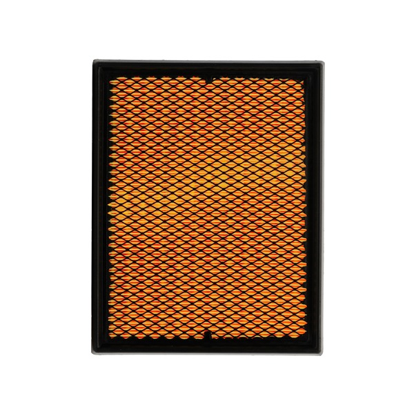 Air Filter RIDEX 8A0007P 8A0007P - photo 1