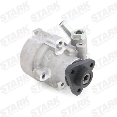 Hydraulic Pump, Steering System Stark SKHP-0540010 SKHP-0540010 - photo 2