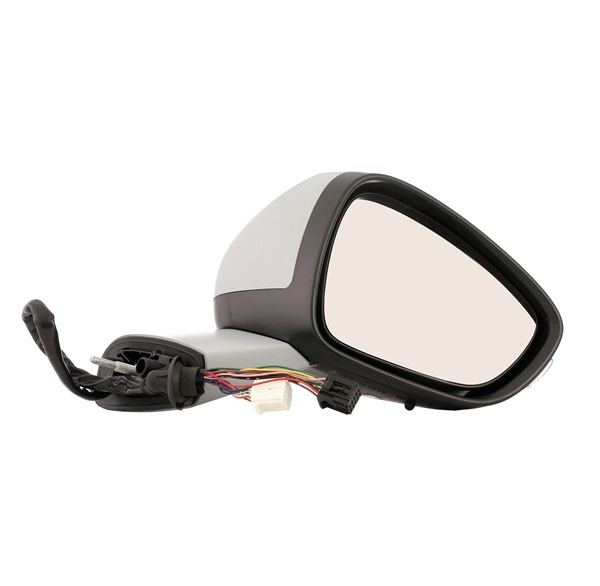 Wing Mirror RIDEX 50O0864 50O0864 - photo 1