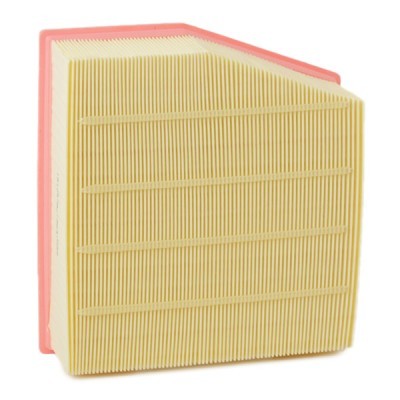 Air Filter RIDEX 8A0599 8A0599 - photo 4