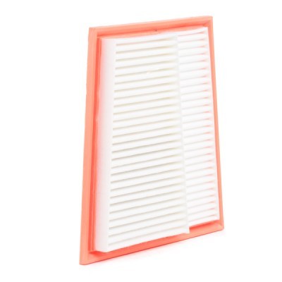 Air Filter RIDEX 8A0643 8A0643 - photo 4