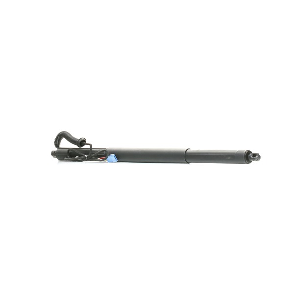 Gas Spring, boot-/cargo area RIDEX 219G1033 219G1033 - photo 1