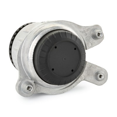 Engine Mounting RIDEX 247E0777 247E0777 - photo 4