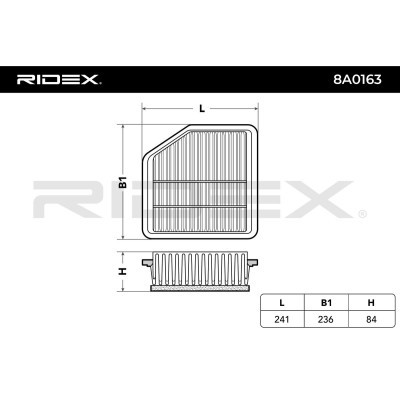 Air Filter RIDEX 8A0163 8A0163 - photo 6