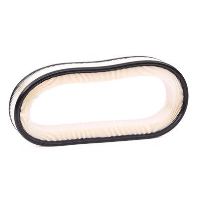 Air Filter RIDEX 8A0195 8A0195 - photo 3