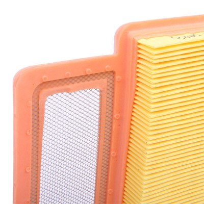 Air Filter RIDEX 8A0663 8A0663 - photo 5