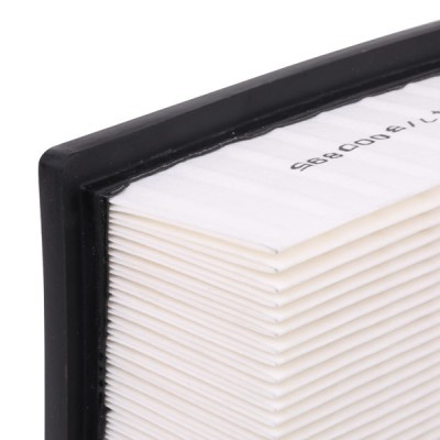 Air Filter RIDEX 8A0136 8A0136 - photo 6