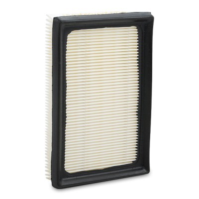 Air Filter RIDEX 8A0462 8A0462 - photo 4