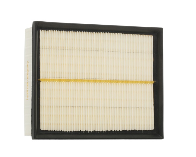 Air Filter RIDEX 8A0347 8A0347 - photo 1