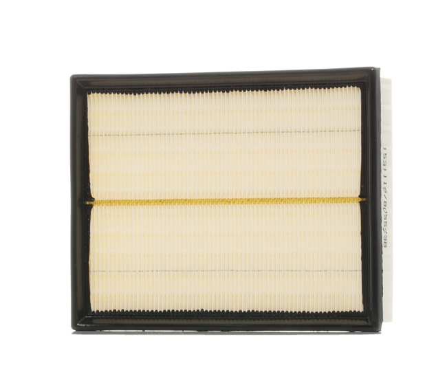 Air Filter RIDEX 8A0189 8A0189 - photo 1