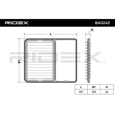 Air Filter RIDEX 8A0243 8A0243 - photo 3