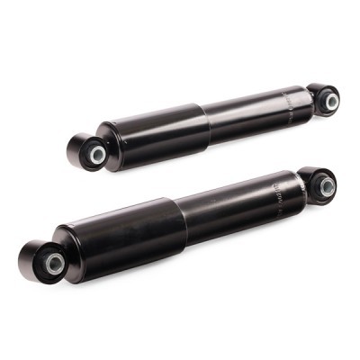 Shock Absorber RIDEX 854S18060 854S18060 - photo 6