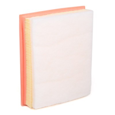 Air Filter RIDEX 8A0611 8A0611 - photo 4