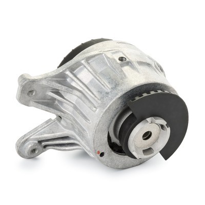 Engine Mounting RIDEX 247E0777 247E0777 - photo 3
